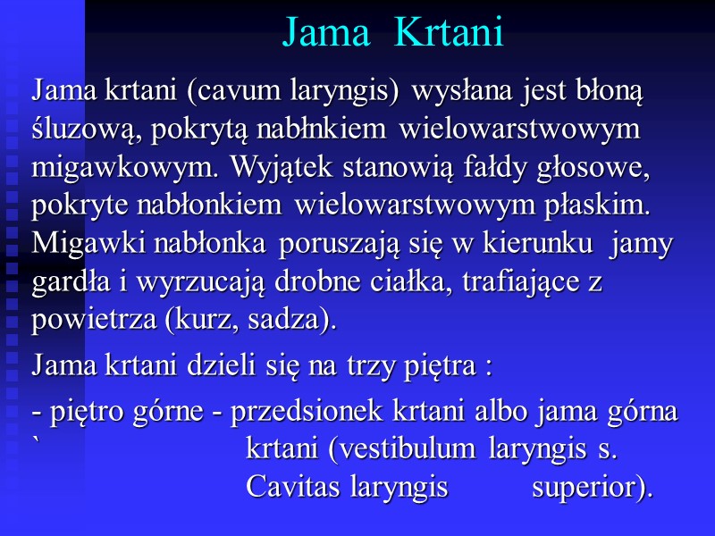 Jama  Krtani Jama krtani (cavum laryngis) wysłana jest błoną śluzową, pokrytą nabłnkiem wielowarstwowym